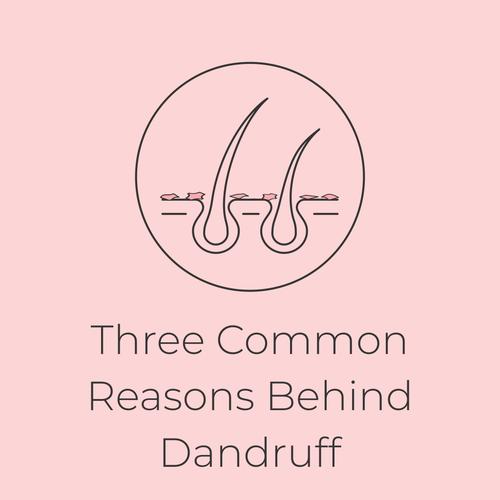 Three common reasons behind Dandruff