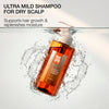 104 Follicle Energising Shampoo